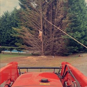 Meet your Posher, Dylan